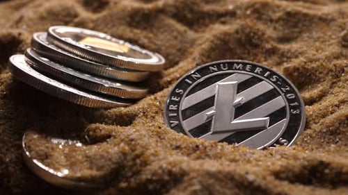 Différents types de cryptomonnaies