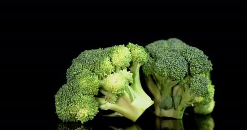 Fresh Broccoli Heads on Black Background