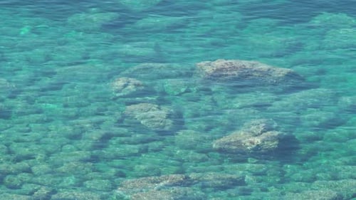 Clear Sea