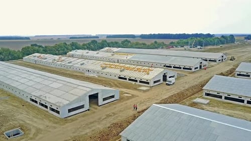 Construction complex of livestock. Aerial view of the constructing new farm for livestock