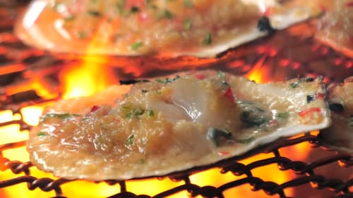 Big Fresh Scallop Shell Seafood Grill on Metal Net with Charcoal Barbecue in Korean Restaurant