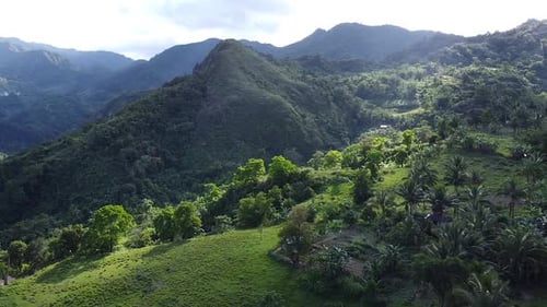 From a Low Altitude a Rich and Diverse Area with Various Types of Vegetation is Removed