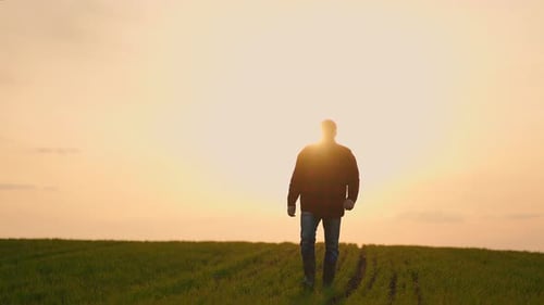 Caucasian Old Male Farmer in a Hat Going Along the Path in the Wheat Field on the Beautiful Sunset