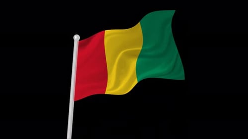Animated Waving Flag of Guinea
