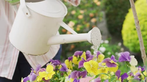 Mid section of senior african american woman wearing watering plants in the garden