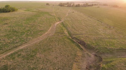 Field Road