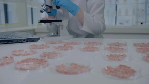 Lab Worker Examining Cultured Meat Sample with Microscope
