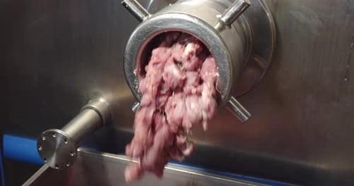 Meat Being Poured Into Meat Grinder Machine