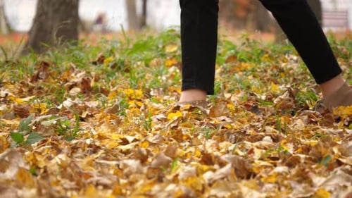 woman walk in the autumn park. Girl walks through the autumn park in a sunny day. Fallen yellow leav