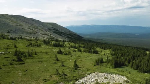 Fly over the beautiful hills of the forest and mountains