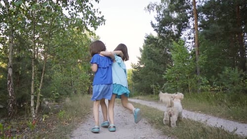 Two Cute Girls Are Walking Along the Forest Road and Talking
