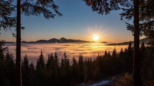 Sunset in Forest Nature with Foggy Clouds in Mountains