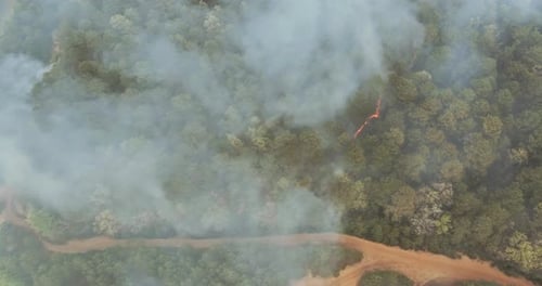 Aerial view of forest fire in spring fire in the trees dry grass in the forest.