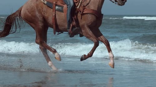 Superzeitlupenaufnahme von Frauen, die am Strand von Oregon Pferde reiten, aufgenommen auf Phantom Flex 4K
