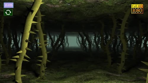 Thornes Forest A2 HD