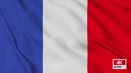 Realistic French National Flag Waving Animation
