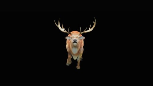 Hirsch Run HD