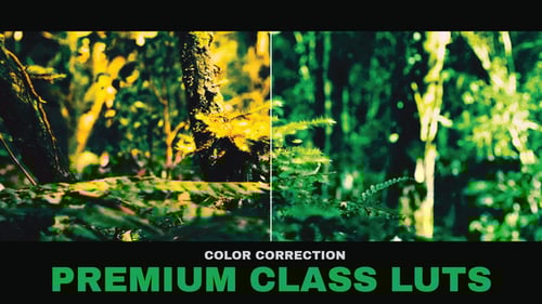 LUTs Premium Class