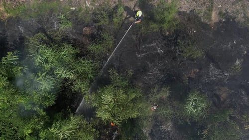 Bush Fire from Above