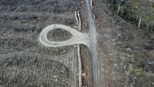 Vue aérienne de la déforestation, de l'exploitation forestière et de la