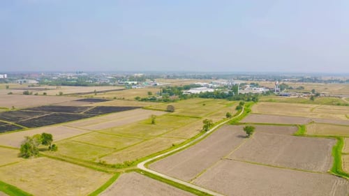Aerial top view of fresh paddy rice, green agricultural field in countryside or rural area