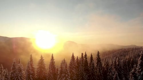 Luftflug über dem Winterwald im Bergtal bei Sonnenuntergang