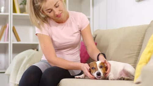 Woman Petted Her Dog on the Couch Indoors