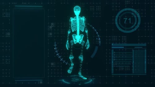 Digital Wireframe Human Skeleton Medical Data HUD Animation