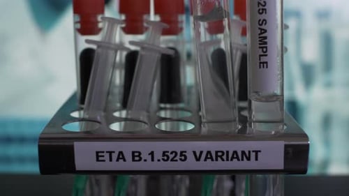 Proben der Teströhrchenvariante Eta B.1.525 werden in das Gestell gestellt Gesperrt