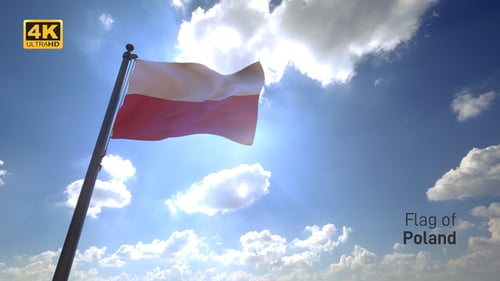 Polish Flag Waving in Sunlight Against Blue Sky