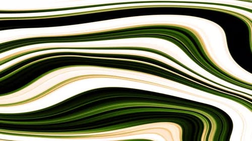 Abstract Green Fluid Lines Flowing Animated Background