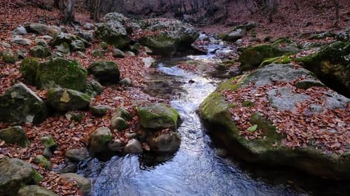 View of the River Flowing From the Mountain Waterfall