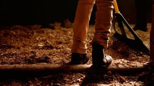 Legs and Rake Standing on Wood Shavings in Barn