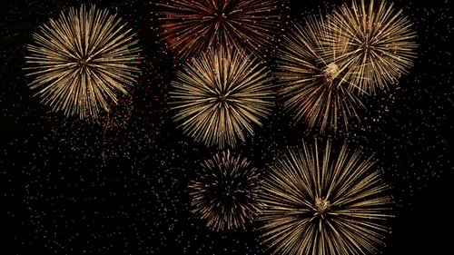 Colorful Fireworks Exploding in the Night Sky