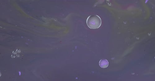 Fantastic Structure of Colorful Bubbles. Chaotic Motion. Abstract Background