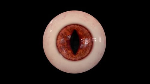 Realistic 3D Animated Eye with Slit Pupil