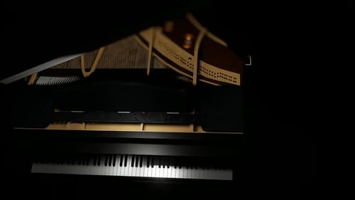 Elegant Grand Piano Opening Logo Reveal