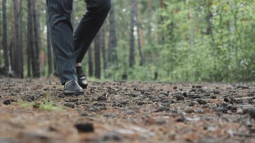 Businessman in Suit and Shoes Walks Across Pine Forest