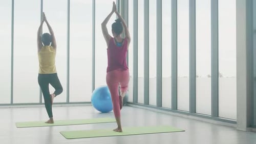 Women Practicing Yoga Poses Indoors