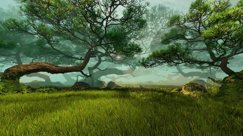 Green Meadow Surrounded By Trees