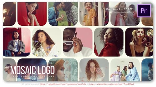 Fast Blog Logo Reveal