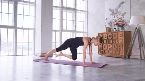Woman Doing Cross Body Mountain Climber Exercise