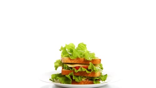 Very Big Sandwich Buildup