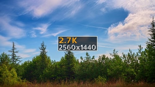 Clouds and Forest
