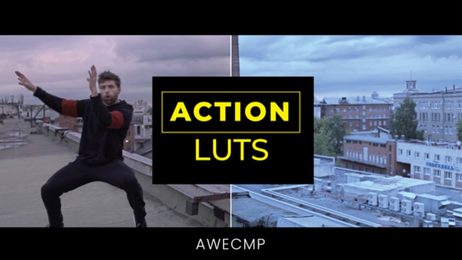 Cover for LUTs Action