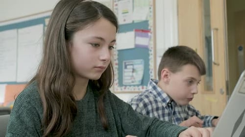 Students working on laptops in classroom