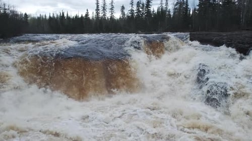 Rasender Fluss mit hohen Pinien im Hintergrund