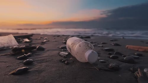 Plastic Bottle Lies on Beach and Pollutes World Ocean and Life of Marine Life