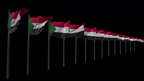 Row of Waving Sudan Flags Animation