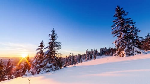 Beautiful Winter Landscape in the Mountains